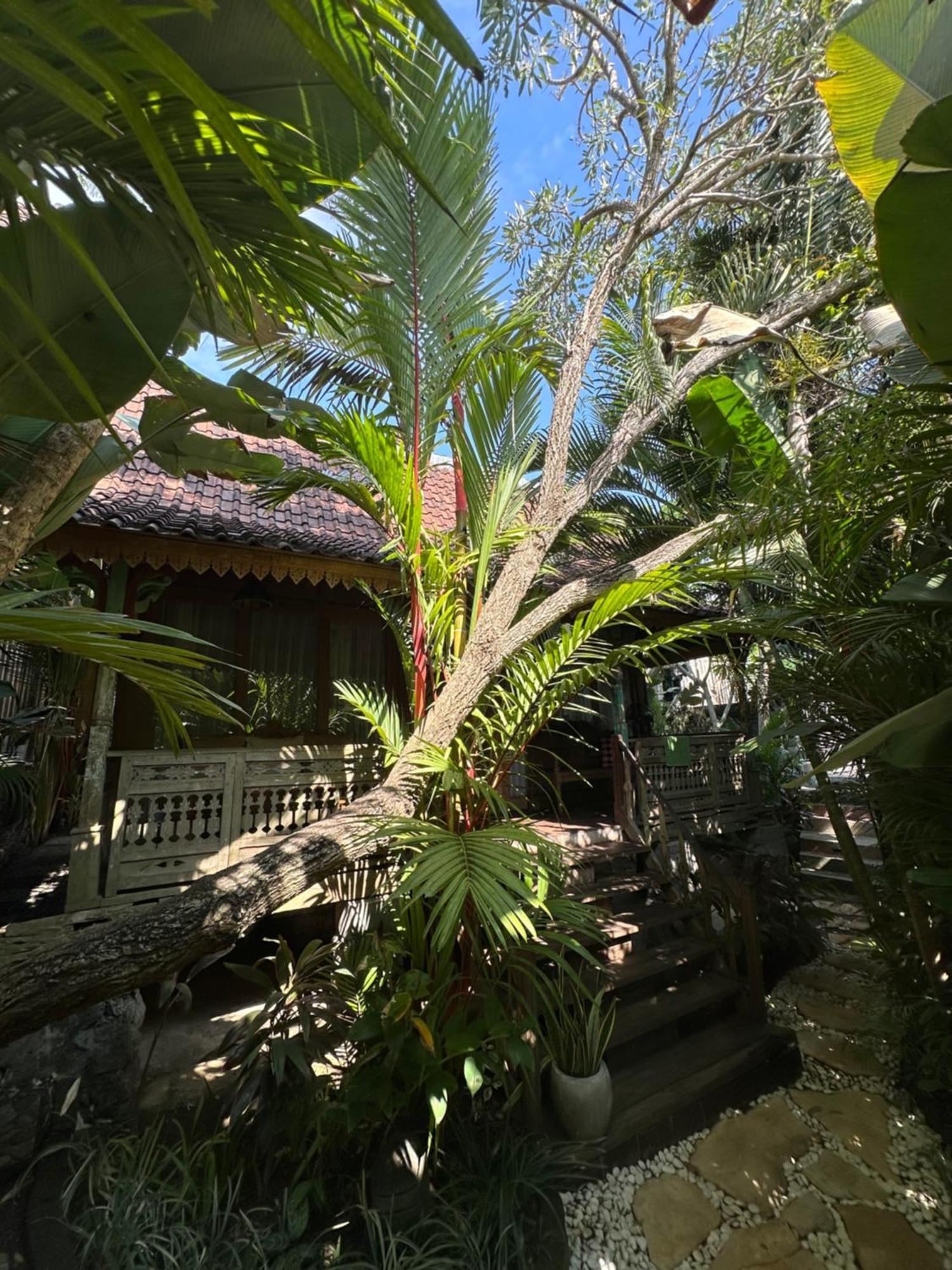 Umakayu Joglo Villa Canggu - Boutique Hotel ภายนอก รูปภาพ